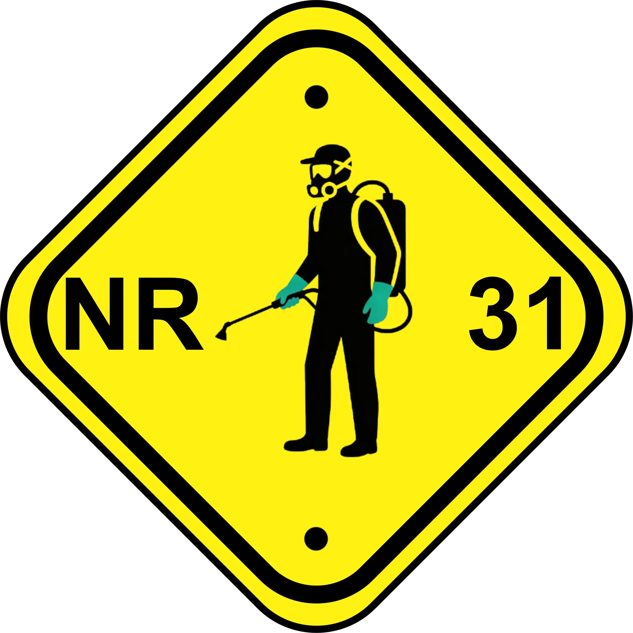 NR - 31